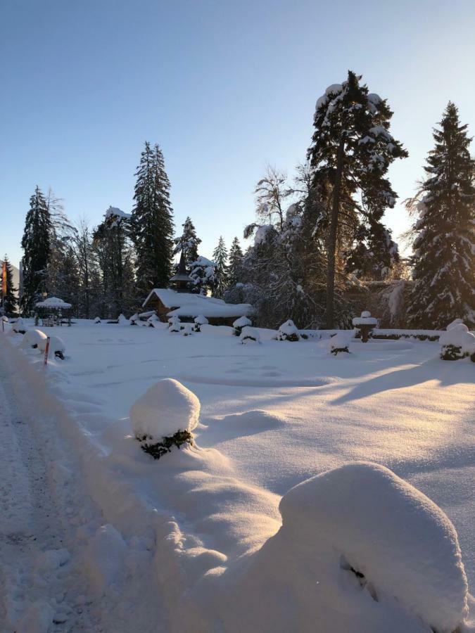 Chalet Belmont Flims Eksteriør billede